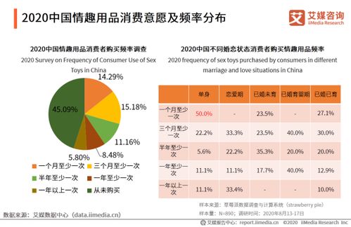 情趣用品行業(yè)軟件開(kāi)發(fā) 機(jī)遇與挑戰(zhàn)并存的藍(lán)海領(lǐng)域