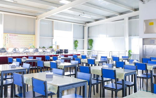 優化食堂管理，花都電子廠攜手廣州飯堂承包公司提升用餐體驗